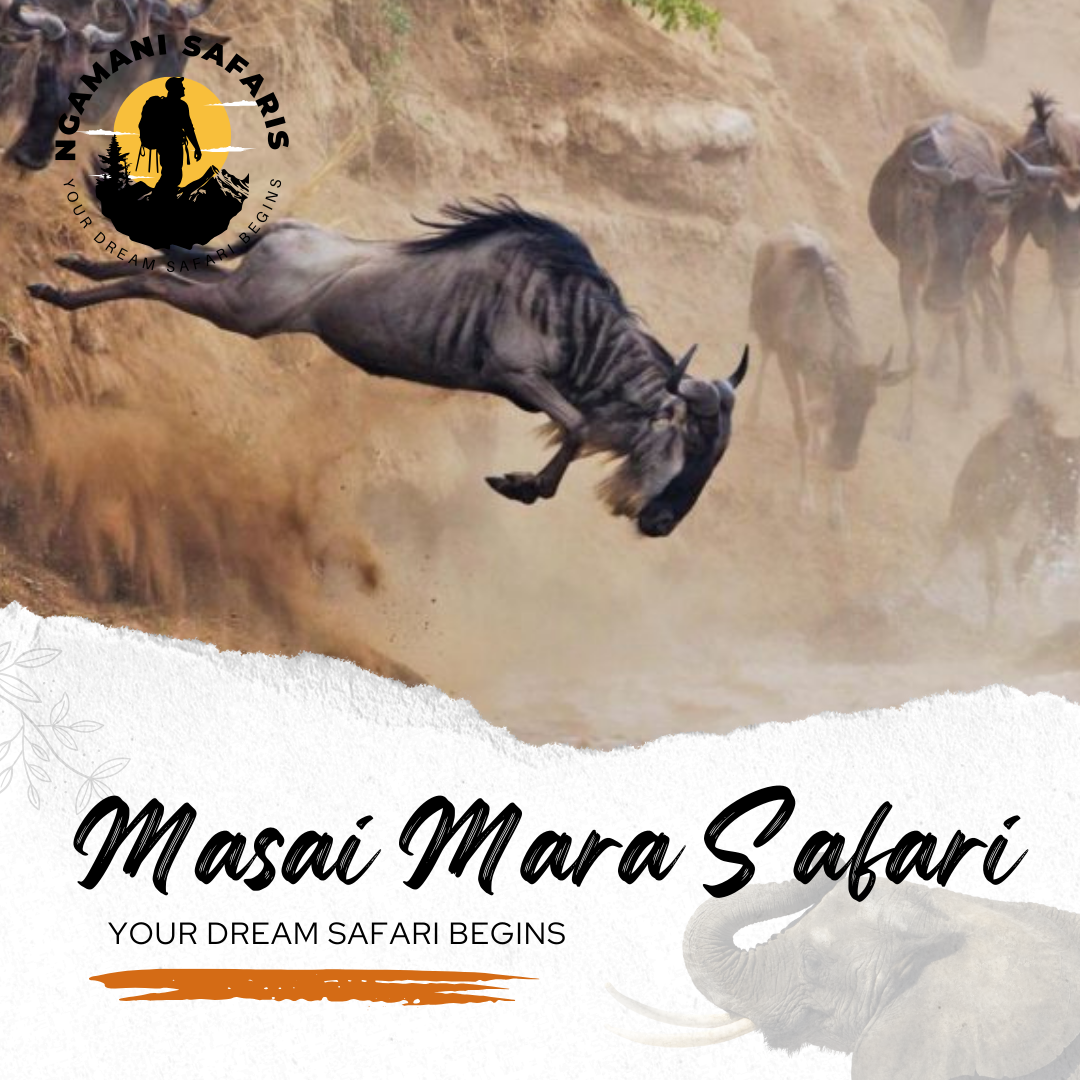 Masai Mara Safaris