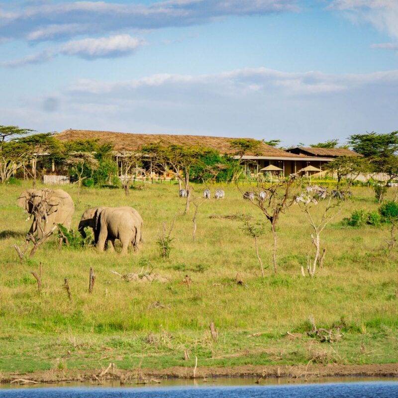 Mara Ripoi Conservancy - Image 2