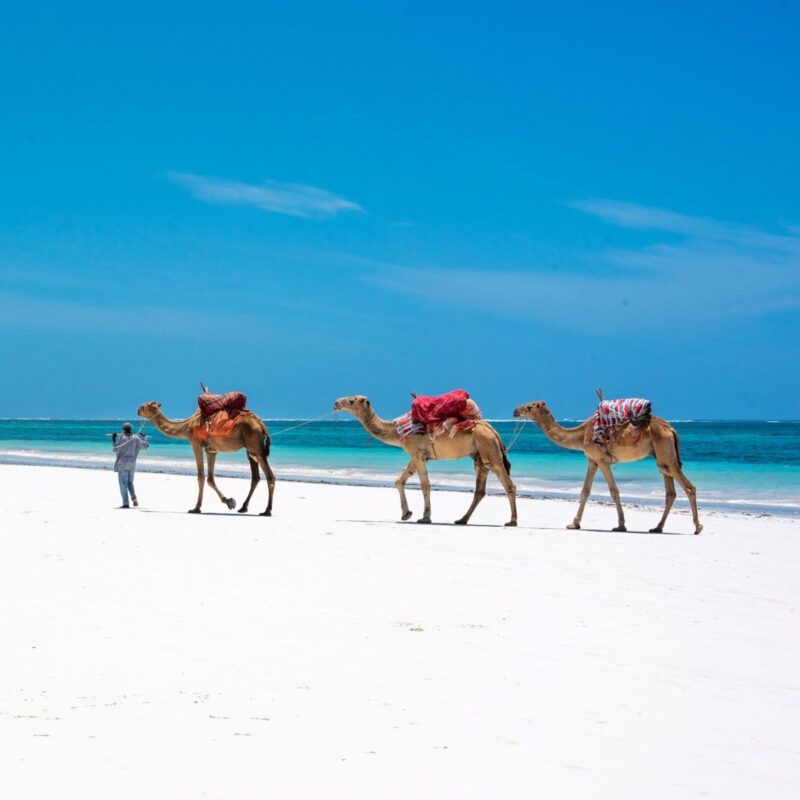 4 Day Classic Mombasa Beach Holiday - Image 2