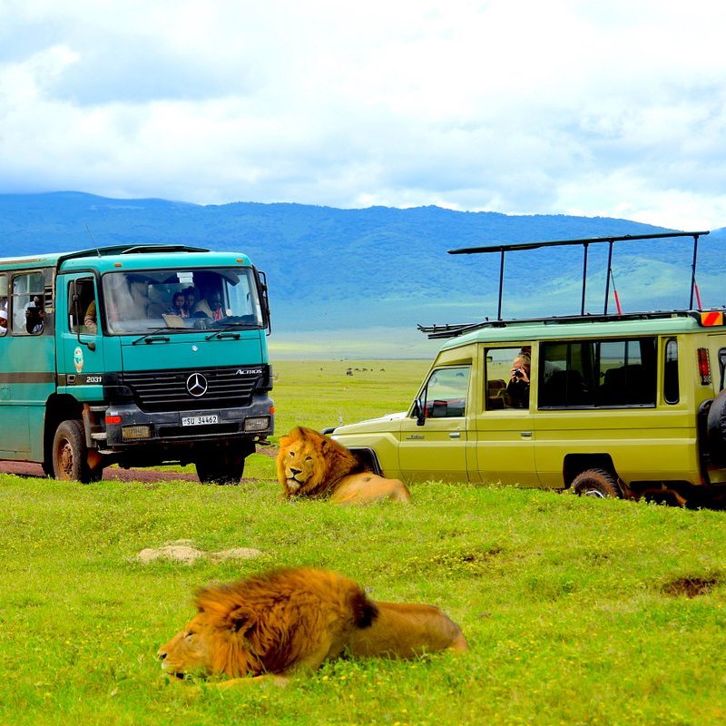 Ngorongoro Crater